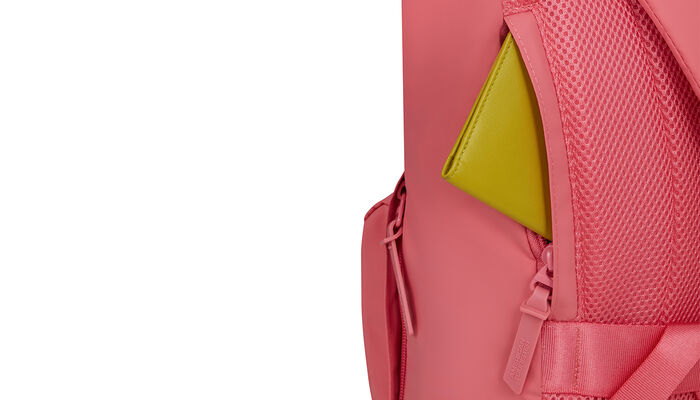 Compartimento trasero secreto