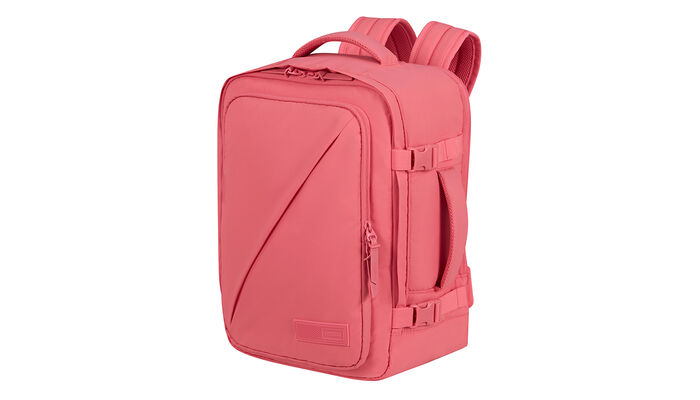 Política de equipaje de mano gratuito a bordo de Ryanair y Wizz Air